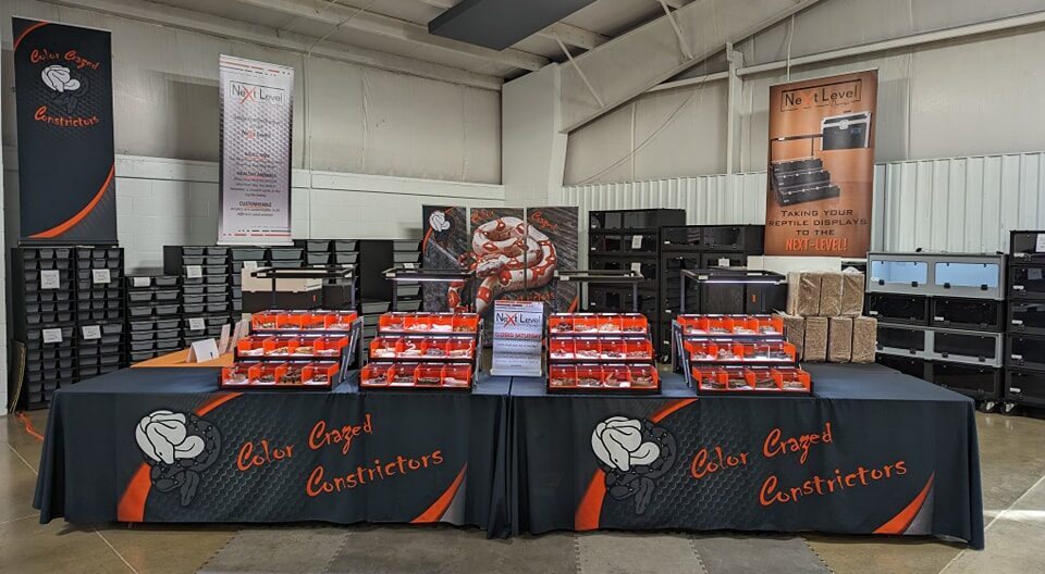 Color Crazed Constrictors animals display tables and enclosures and racks set up at a reptile expo